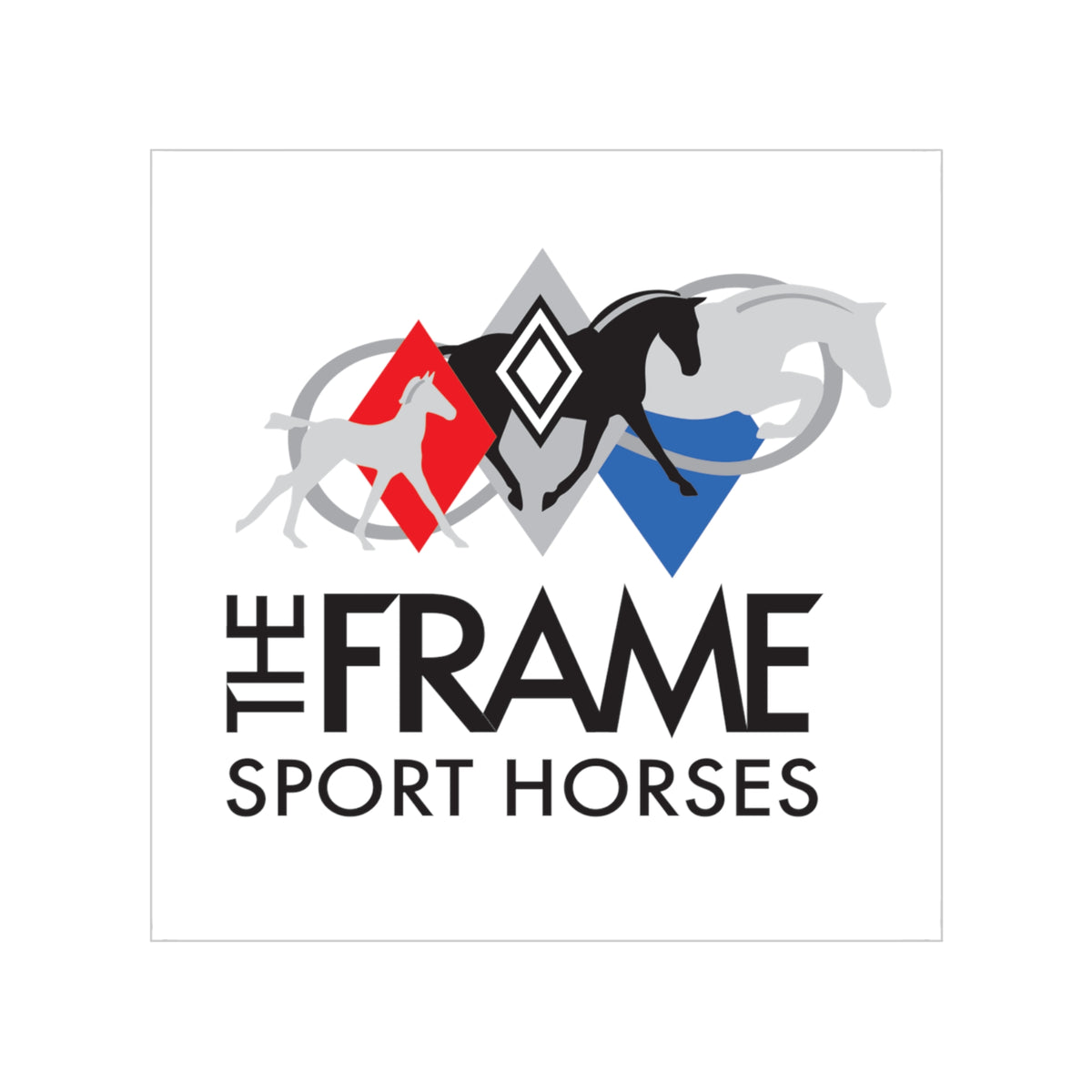 The Frame Transparent Sticker