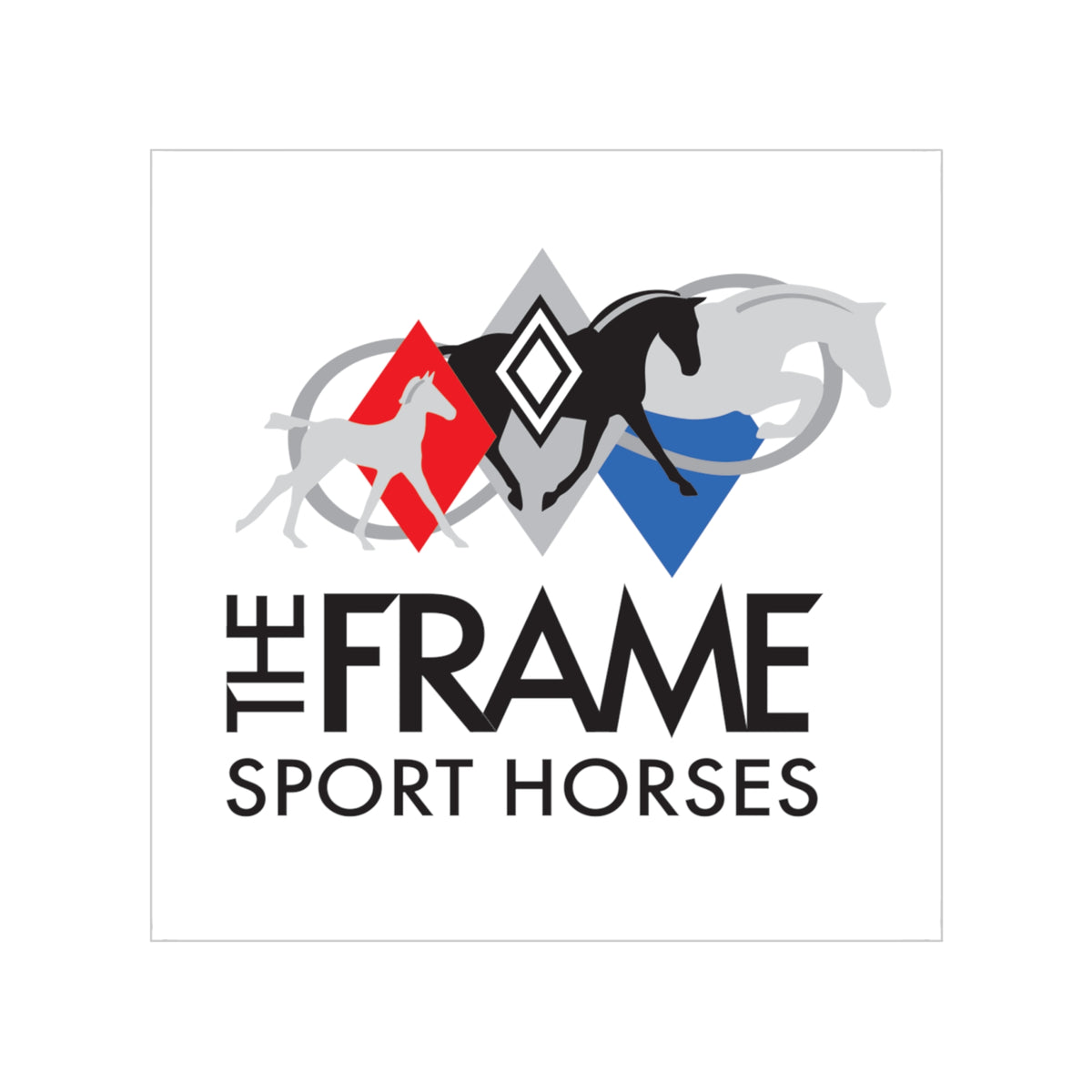 The Frame Transparent Sticker
